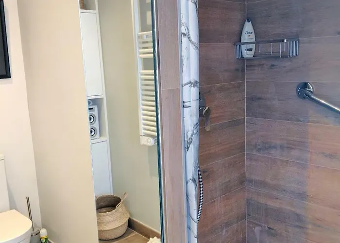 Flying Whale * Altea