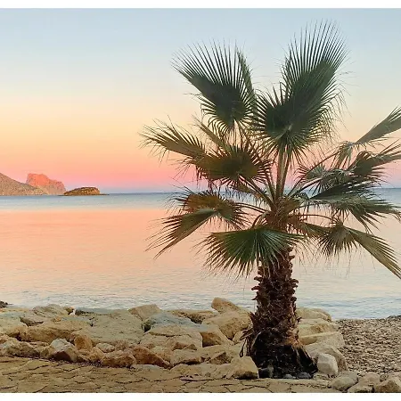 Flying Whale * アルテア