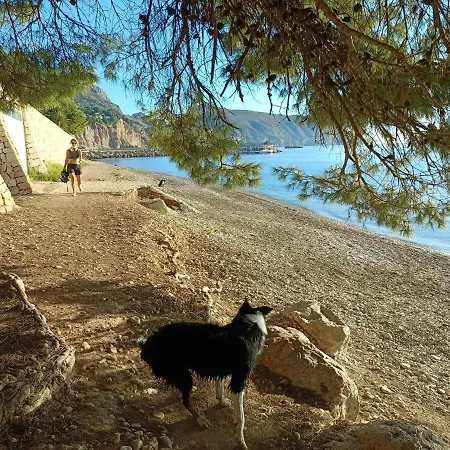 Flying Whale アルテア