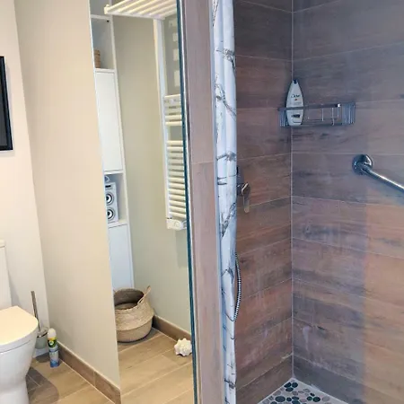 Flying Whale * アルテア